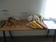DSCN3091.JPG